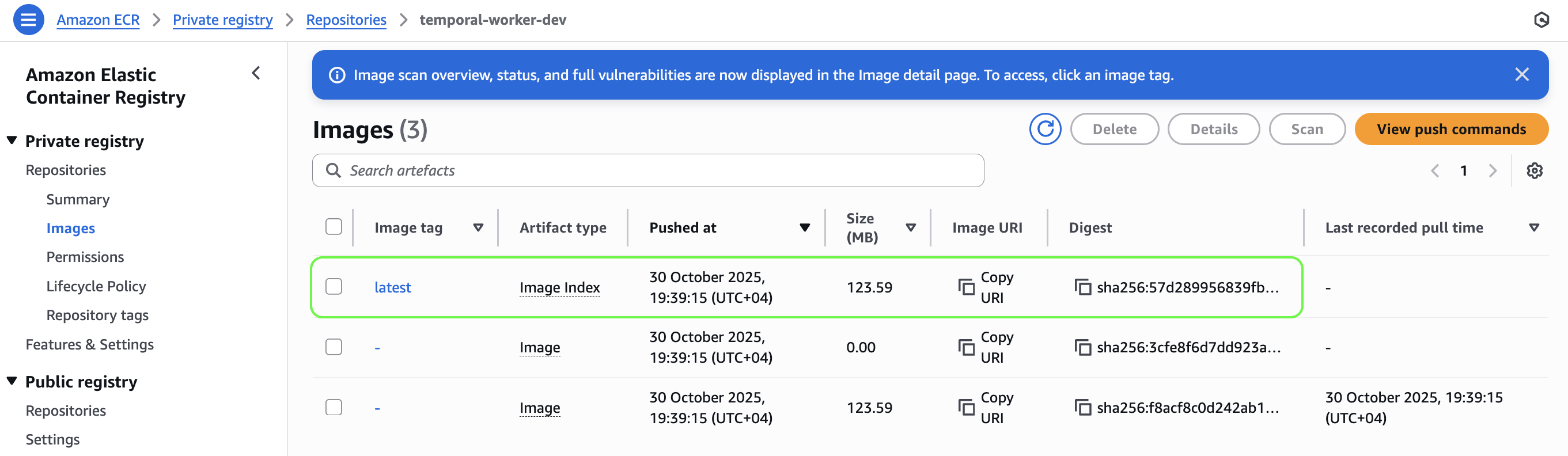 Pushed Container to ECR